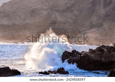 Photo Picture of a BIg Wave in the Ocean