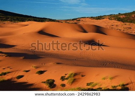 Coral Pink Sand Dunes State Park - it features uniquely pink-hued sand dunes located beside red sandstone cliffs (between Mount Carmel Junction and Kanab, southwestern Utah, United States) Royalty-Free Stock Photo #2429862983