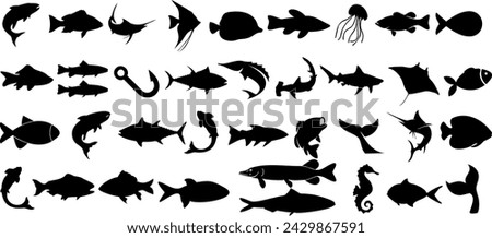 fish vector silhouette, diverse fish species isolated on white. Perfect for marine, tropical, ocean, aquatic, wildlife design projects, illustrations, and graphics