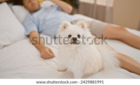 Relaxed morning scenario with handsome young caucasian man, effortlessly chilling with his loyal dog lying on the comfortable bed in bedroom. loving the expressively playful, indoor lifestyle.