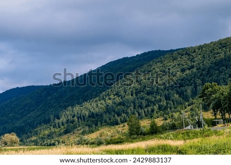 Cloudy sky and forest on the mountain