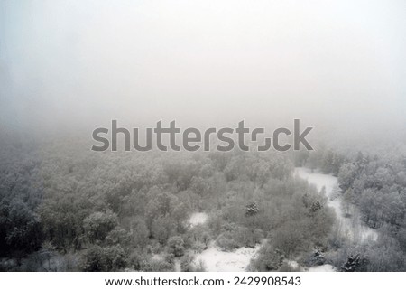 Winter forest with snow trees. A snow storm in snowy park