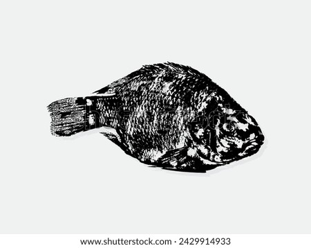 Black and white illustration sketch of a Fish hand drawing vector isolated on white background.