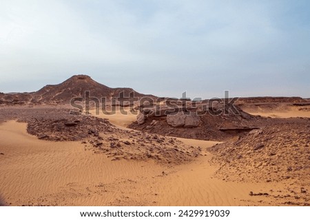 Timimoun Desert of dunes Palms Algeria 
