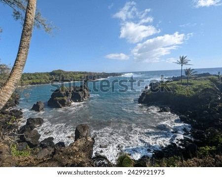 tropical shoreline in Maui Hawaii during the day with blue ocean