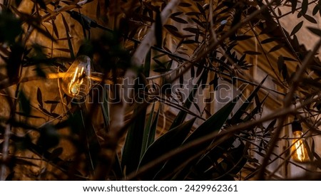 Close-up of high angle view of an illuminated yellow light bulb from a long string of light bulbs hanging outdoors at dusk illuminating the patio Royalty-Free Stock Photo #2429962361