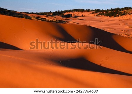 Coral Pink Sand Dunes State Park - it features uniquely pink-hued sand dunes located beside red sandstone cliffs (between Mount Carmel Junction and Kanab, southwestern Utah, United States) Royalty-Free Stock Photo #2429964689