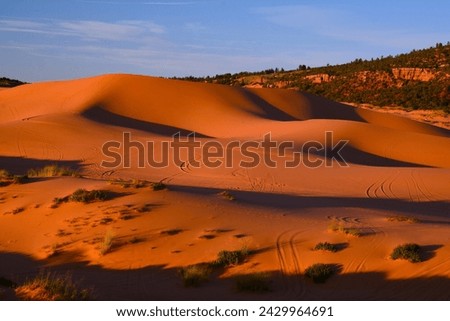 Coral Pink Sand Dunes State Park - it features uniquely pink-hued sand dunes located beside red sandstone cliffs (between Mount Carmel Junction and Kanab, southwestern Utah, United States) Royalty-Free Stock Photo #2429964691