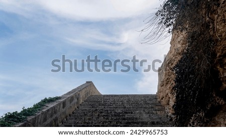 Beautiful staircase going up with a flowering plant growing along a limestone wall against a blue sky	