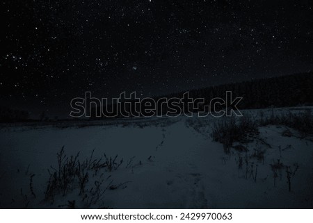 Rural night landscape with stars