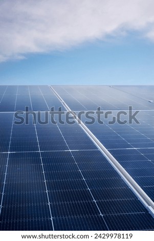 Photovoltaic modules on a sunny day, selective focus.