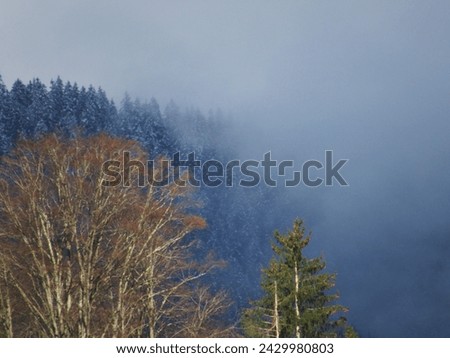 beautiful snowy winter panoramic landscape photo photographed in austrian alps - hello winter - hello december - hello january - hello february 