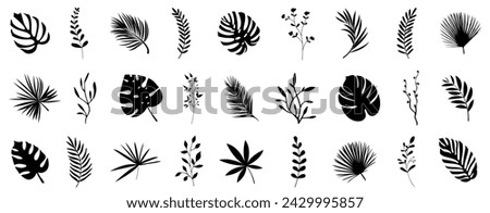 Tropical leaf and flower branch silhouette collection. Set of palm leaves and tree branch silhouettes isolated on white background. Beautiful palm tree leaf silhouette