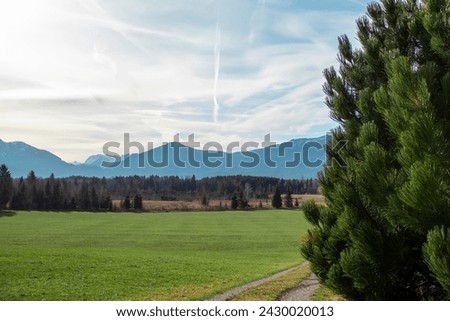 Idyllic landscape in the Alps with fresh green meadows and mountain peaks in the background, Bavaria, Germany.