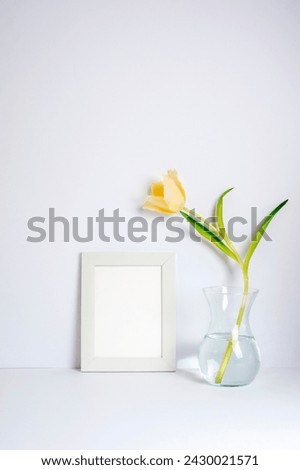 Blank picture frame and yellow tulip in vase on the white background. Holiday, Women's Day or Mother's Day concept
