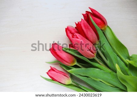 postcard layout. bouquet of tulips. spring bouquet