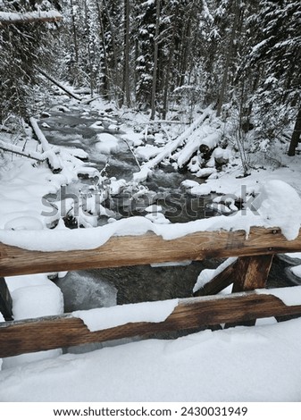 Bridge over a winter stream Royalty-Free Stock Photo #2430031949