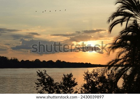 Birds were going back to their nest during the sunset. This is the sunset at the Zambezi river, Africa. this nice view can be use for background texture. beautiful  sunset picture in Africa.