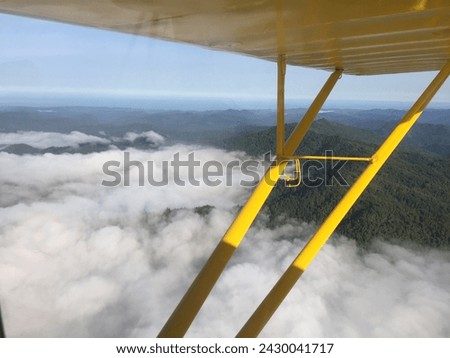 Flying above the fog as it rolls in off the coast over the trees.  Taken from a two seat small airplane with part of the yellow wing in the picture.