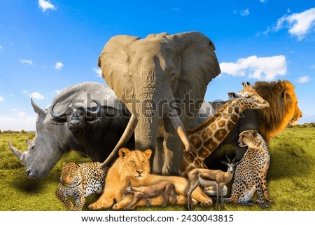 Big Five and wild african animals collage on savannah landscape. Serengeti wildlife area in Tanzania, Africa. African safari scene. Wallpaper background. Blue sky.