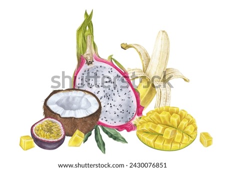 Tropical Fruits Watercolor illustration. Hand drawn clip art on isolated white background. Exotic food mix painting. Drawing of summer plants. Sketch grocery for prints. Banana with mango and coconut