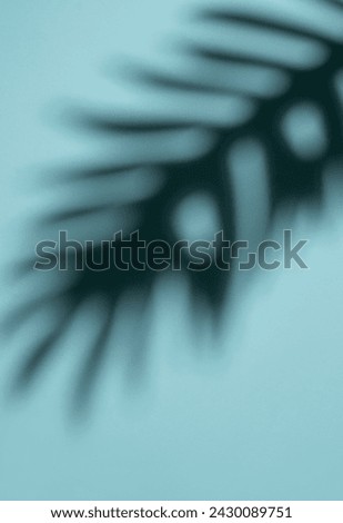 This image captures the delicate shadow of a tropical leaf projected onto a smooth, light blue surface with a soft-focus effect creating an abstract aesthetic.