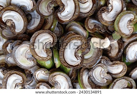 High-resolution Close-up of Raw Cashew Nuts halved. Greenish-brown shells and off-white, creamy interiors of Cashew Nuts. AreAnacardium Occidentale, Culinary Gem, Delicacy, Rare, Food Photography