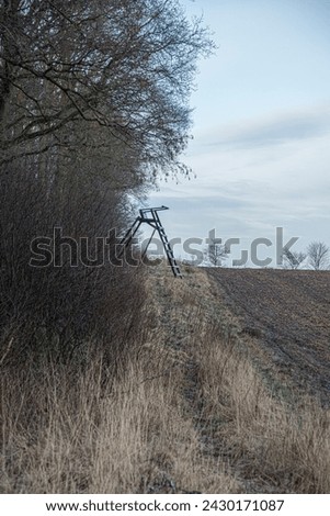  landscape picture at the edge of the forest