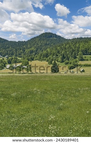 Landscape and traditional Village on Pokljuka Plateau,Triglav National Park,Slovenia Royalty-Free Stock Photo #2430189401