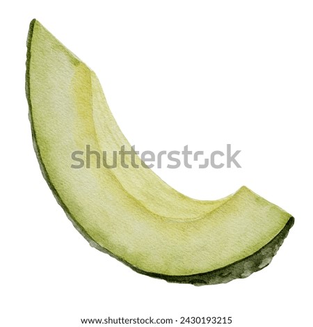Avocado Slice Watercolor illustration. Hand drawn clip art on isolated white background. Drawing of a piece of Fruit. Botanical painting of vegetable. Sketch of a plant for recipe and cookbook design.