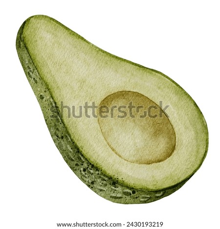 Half an Avocado Watercolor illustration. Hand drawn clip art on isolated white background. Botanical painting of tropical Fruit. Vegetable drawing. For cosmetic and food packaging design.