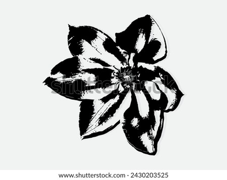 Flower engraving vector illustration. Scratch board style imitation. Black and white hand drawn image. llustrations for poster, background or card.