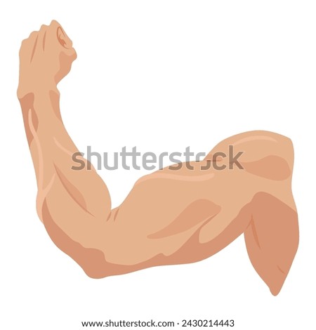 Male biceps muscles icons set. Sportsman arm with strong biceps. Vector symbol of healthy power. Athletic body with tense muscles hand isolated onwhite background Royalty-Free Stock Photo #2430214443