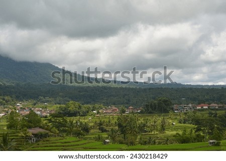 My own picture, hill featuring cloud and rice field
