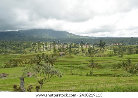 My own picture, hill featuring cloud and rice field