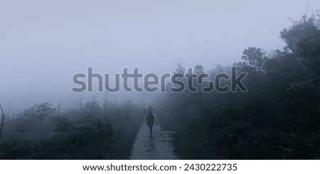 man tracking on tracking way in the forest with fog