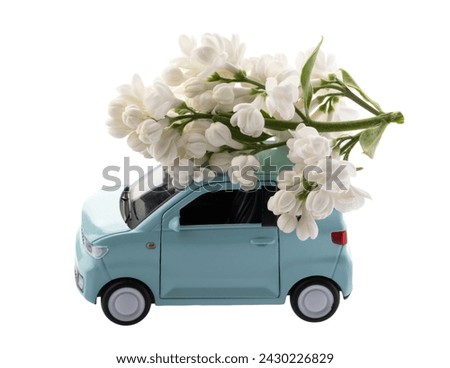 Lilac flower on cartoon toy car isolated with clipping path