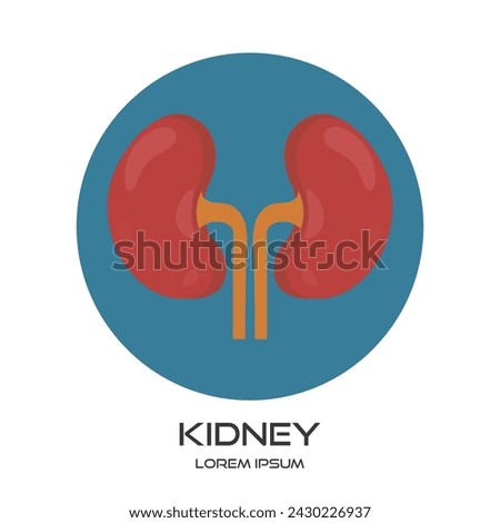 simple clip art Kidney Icon vector illustration isolated on a white background. creative Urology logo icon vector design template - EPS 10