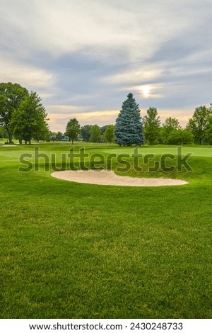 Golden Hour Serenity at Lush Golf Course with Sand Bunker and Blue Spruce Royalty-Free Stock Photo #2430248733
