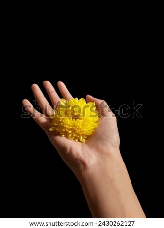 holding yellow flowers in spring