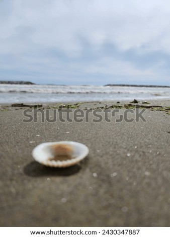 A beach picture in Grand Isle Louisiana 