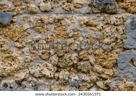 Texture of shell rock limestone for background. Natural pattern