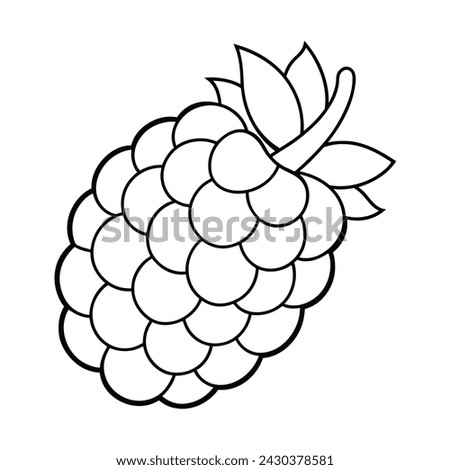 Vector of raspberry illustration coloring page for kids