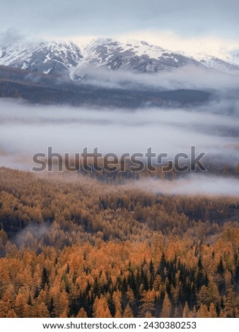 Majestic autumn rural scenery. Landscape with beautiful snow mountains and forests covered with morning fog. Vertical view.  Royalty-Free Stock Photo #2430380253