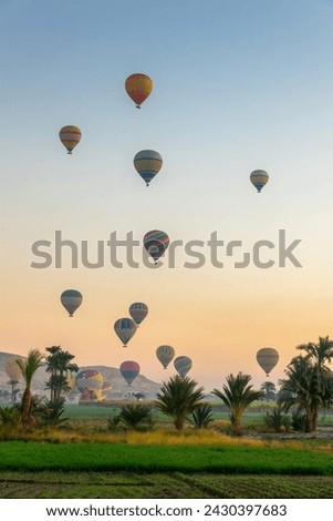 Take off of coloful hot air balloons at sunrise near the the Valley of Kings in Luxor West bank, Egypt 