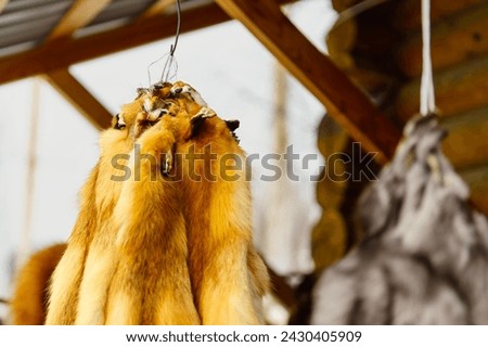 Red fox skins hanging for sale