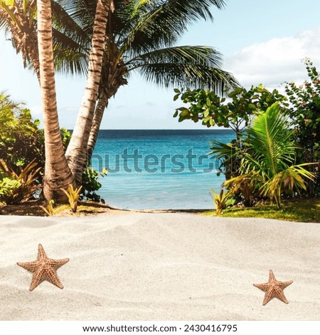 Tropical Beach Picture amazing scene 