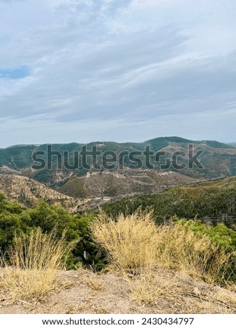 Hills and mountains, beautiful mountains landscape, grass, herbals, trees