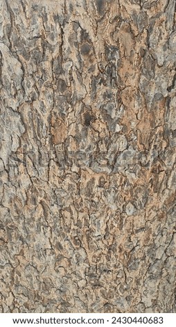 This image features a close-up of weathered tree bark with a rough, textured surface. The bark is a dark brown color with lighter highlights and deep shadows.
it shows a aesthetic look of nature.