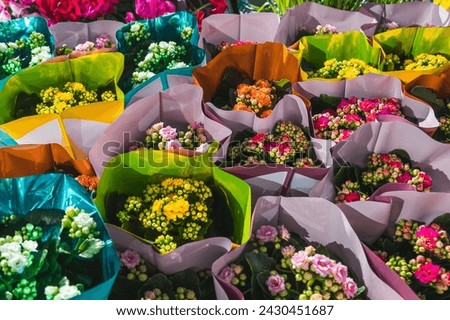 Top view of colorful flower bouquets in store.